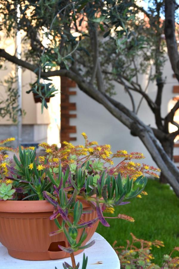 Apartament Greenvine Zadar