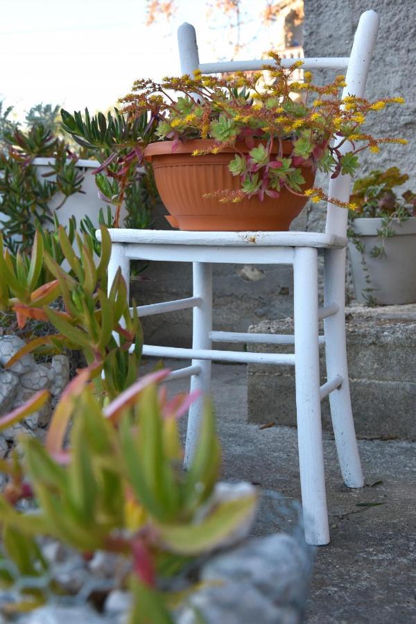 Greenvine * Zadar