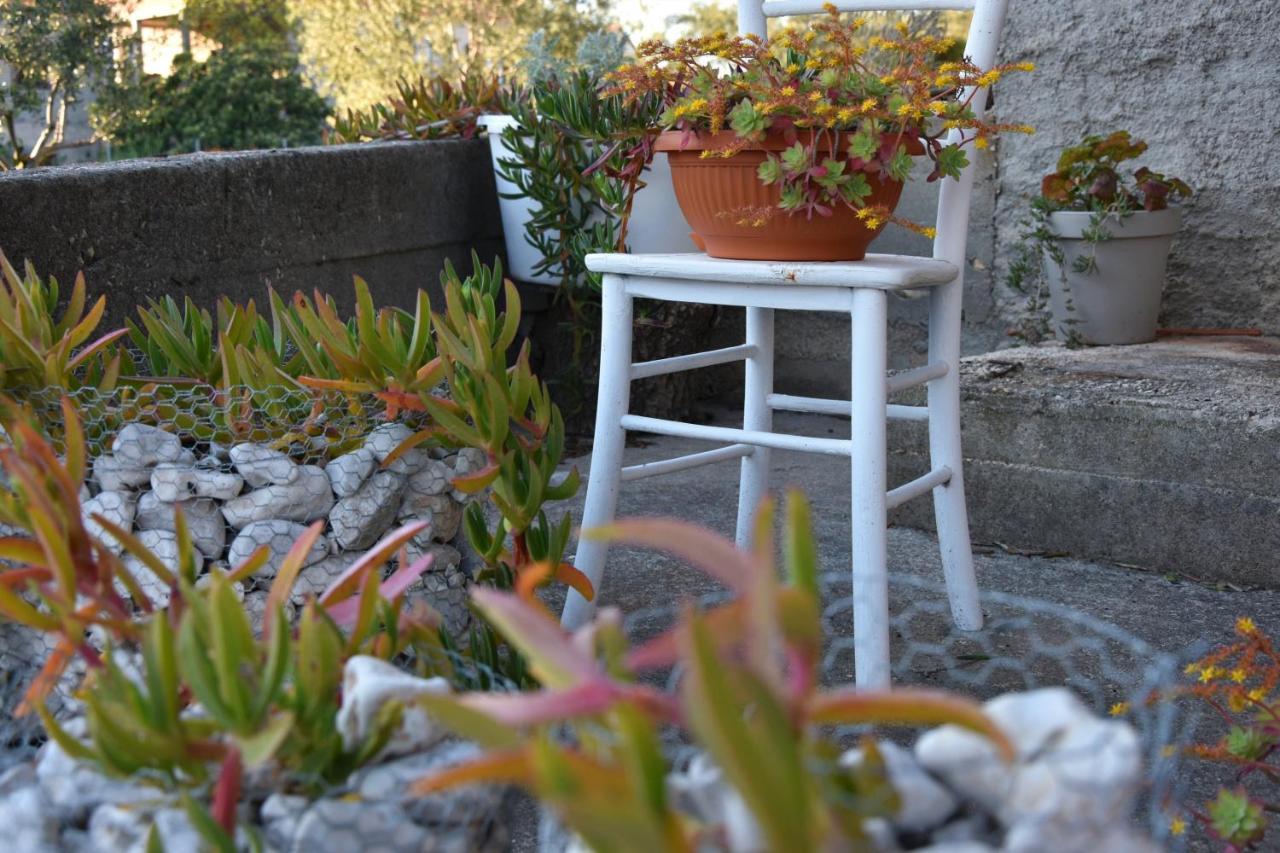 Greenvine Apartament
