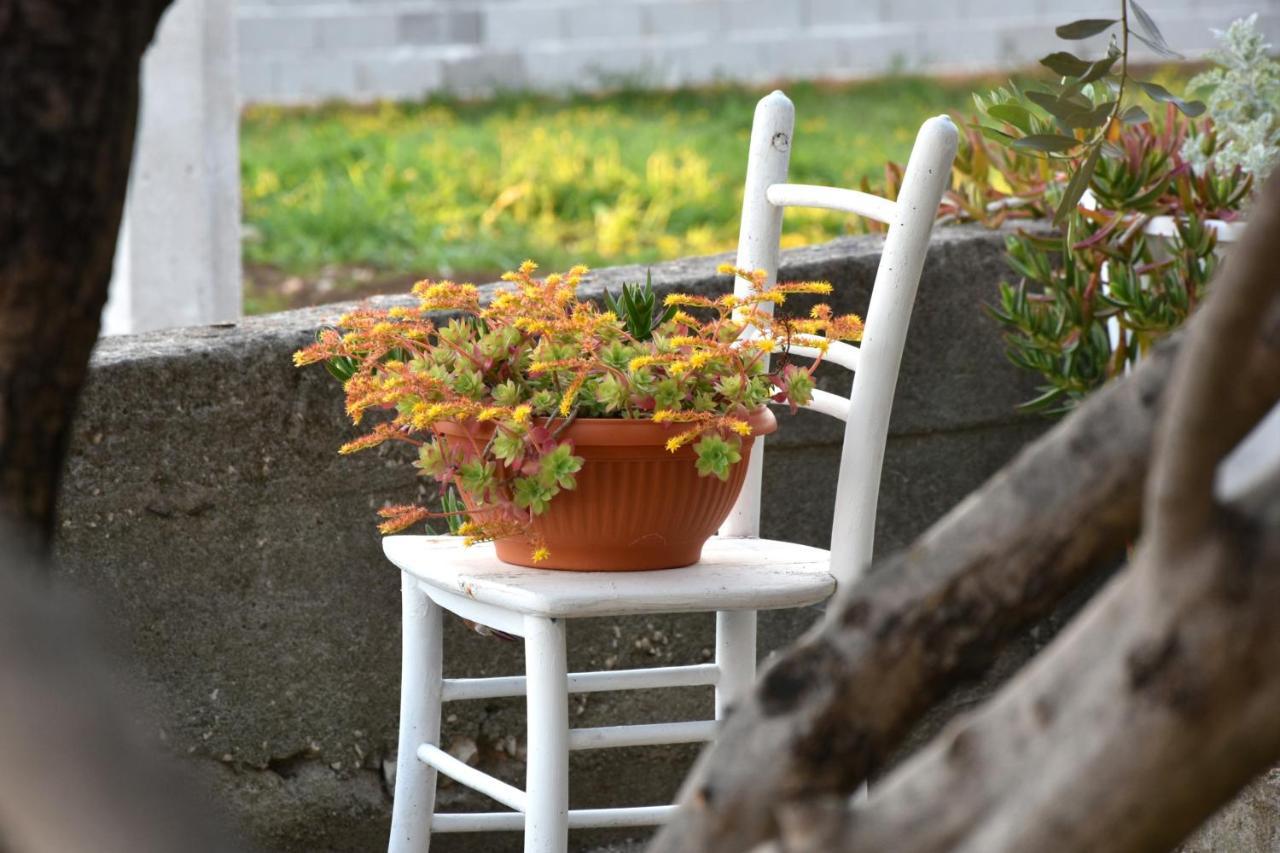 Apartament Greenvine Zadar